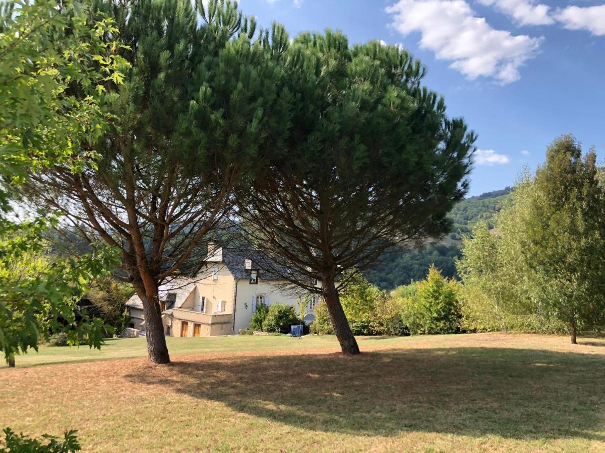 Le Clos St Georges Entraygues-sur-Truyère Εξωτερικό φωτογραφία